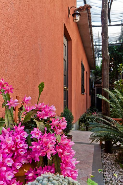 La Maison De Titty & Margherita Piano di Sorrento Luaran gambar